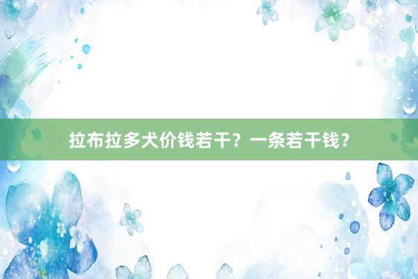 拉布拉多犬价钱若干？一条若干钱？